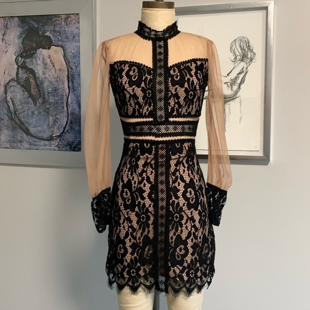 Endless Rose Black and Cream trompe l’oeil Lace Mini Dress